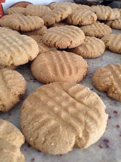 A picture of Soft Molasses Cookies.