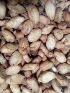 Foto resep Biji Ketapang