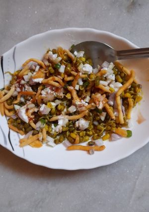A picture of Mung Bean Sprout Chat.