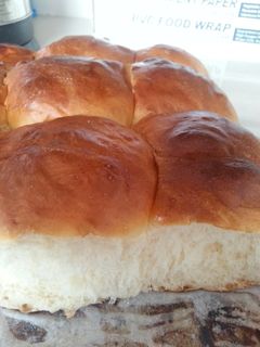 A picture of Sweet Bun.