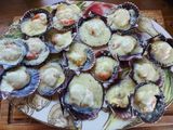 Ostiones parmeinsane