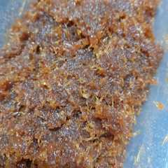 รูปของ Unti kelapa