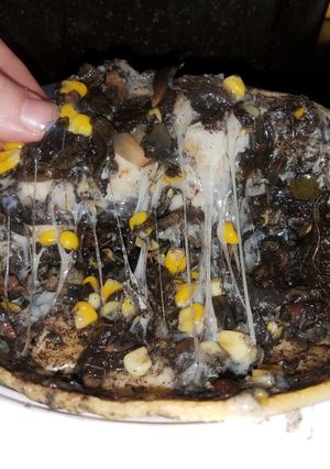 A picture of Quesadilla de huitlacoché.