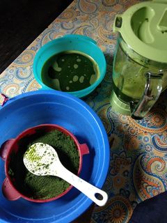Foto resep Jus Daun Katu / Katuk /Cangkok Manis