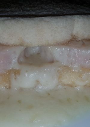 Una foto de Sándwich rápido de Pavo y Queso!!🍞🧀🍗