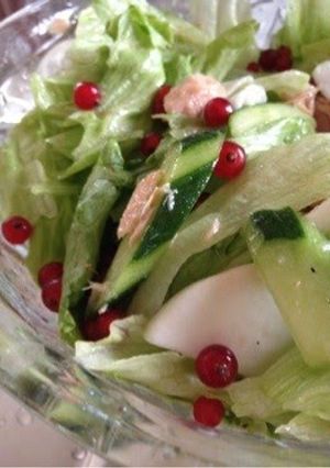 A picture of Redcurrant Salad.