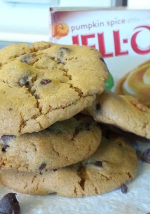 A picture of Pumpkin Spice Chocolate Chip Pudding "Cookies"...