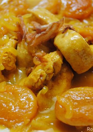 A picture of Persian chicken and dried apricot stew.