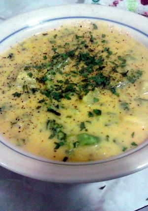 A picture of broccoli spinach cheese soup.