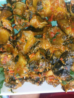 A picture of Peppered snail.
