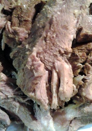 A picture of Boston butt stuffed with shallots stove top.