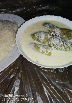 صورة لوصفة مخشي كوسا او كوسا باللبن