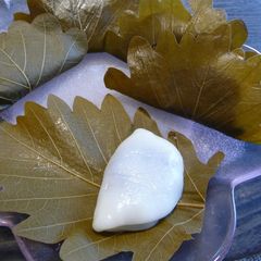 A picture of Gooey and Soft Kashiwa Mochi Made Easily in a Microwave.