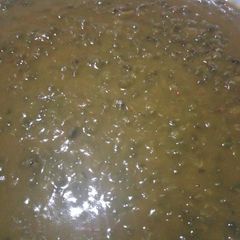 A picture of Greengrams(ndengu) #festiveseasoncontestkakamega #authormarathon.
