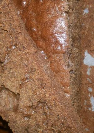 Foto resep Bolu coklat pisang bsarang (menul menul)