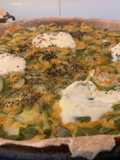 Tarta de zapallitos