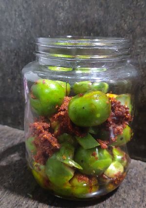 ઇન્સ્ટન્ટ ગુંદા નું અથાણું (Instant Gunda Athanu Recipe In Gujarati) રેસીપી મુખ્ય ફોટો