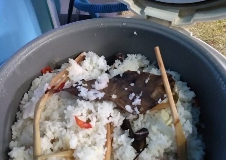 Cara Gampang Menyiapkan Nasi Liwet Magicom, Enak Banget