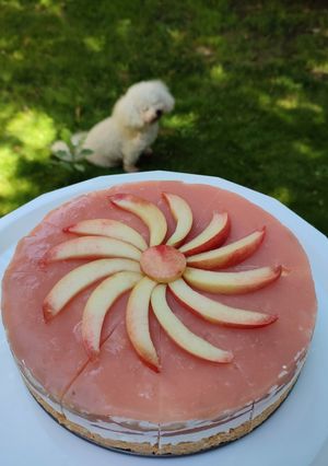 Nektarinos torta sütés nélkül recept fotója