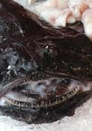 A picture of Roasted Monkfish Recipe.
