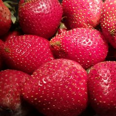 Strawberry puree A picture of Strawberry puree.