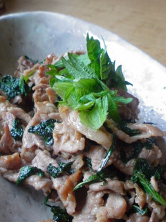 A picture of Pork and Shiso Leaves Stir-Fried with Butter and Soy Sauce.
