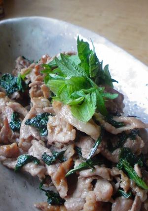 A picture of Pork and Shiso Leaves Stir-Fried with Butter and Soy Sauce.