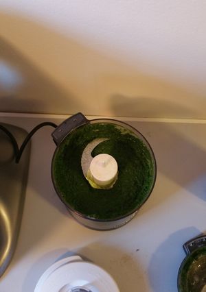 A picture of Kale Pesto.