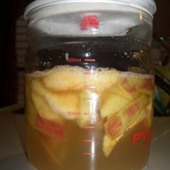 A picture of Homemade Apple Yeast.