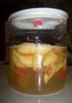 A picture of Homemade Apple Yeast.