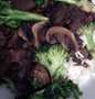 Easy Steps to Make Vegan Szechuan Beef w/ Broccoli the Perfect Tasty