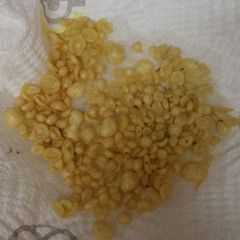A picture of Homemade Rice Crisp Cereal (Gluten free).