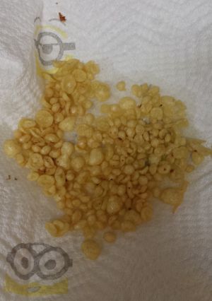 A picture of Homemade Rice Crisp Cereal (Gluten free).