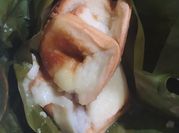 Gambar bongko roti