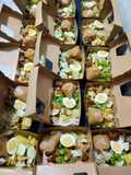 Gado gado suroboyo premium