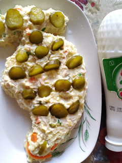 عکسی از دستور الویه 😋