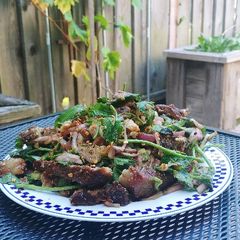 A picture of Thai beef salad (nam tok neuha).