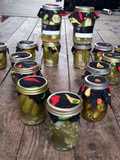 Hot bathed dill pickles 24hr