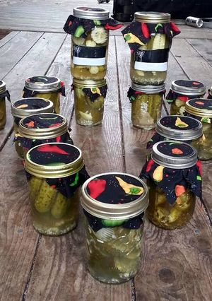 A picture of Hot bathed dill pickles 24hr.