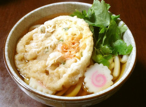 A picture of Basic Udon Noodle Soup.