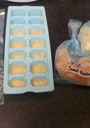 A picture of Baby Food Storing.