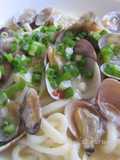 Udon noodles alle Vongole