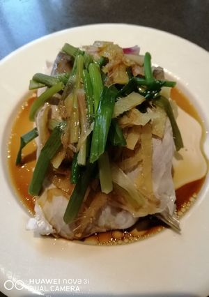 A picture of Steam Fish.