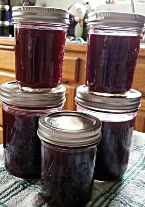 A picture of Tinklee's Huckleberry shine.