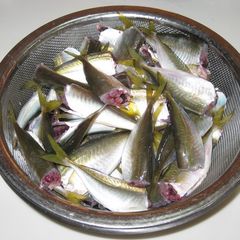 A picture of How to Clean Small Horse Mackerel.