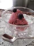Macrobiotic Dairy-Free Berry Ice Cream
