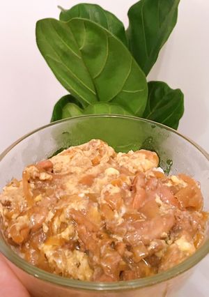 Hình của món Oyakodon (cơm gà, trứng kiểu Nhật).