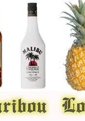 A picture of Caribou Lou.