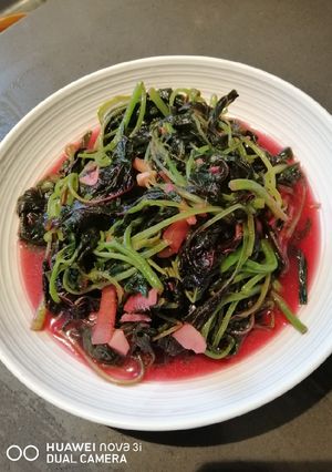 A picture of Chinese Spinach.