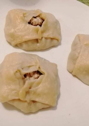 A picture of Russian Manti.